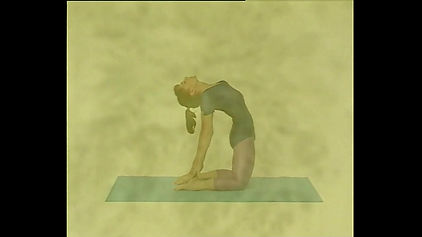 DVD Yoga for the more adept clip